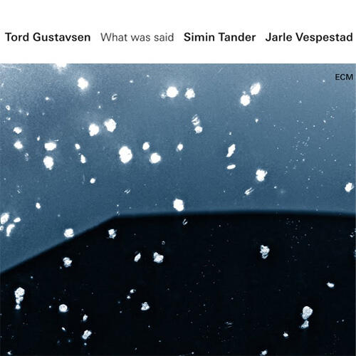 Tord Gustavsen / Tander / Vespestad What Was Said (2LP) 